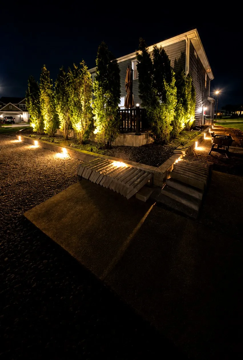 Landscape lighting at night with uplit privacy trees, lit stone steps and glowing paver path