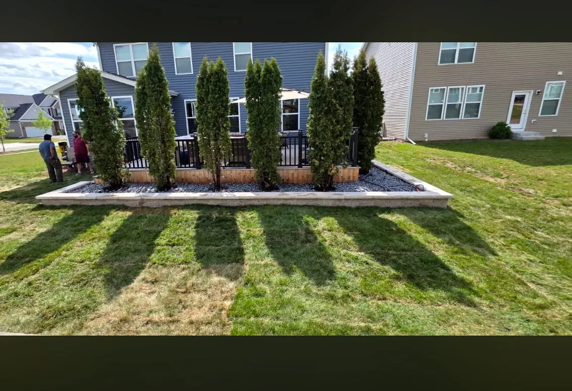Raised paver retaining wall with arborvitae privacy trees and fresh sod