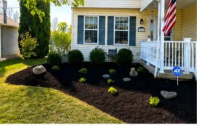 Fresh spring bed with dark mulch and new shrubs